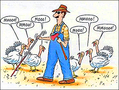 Cartoon