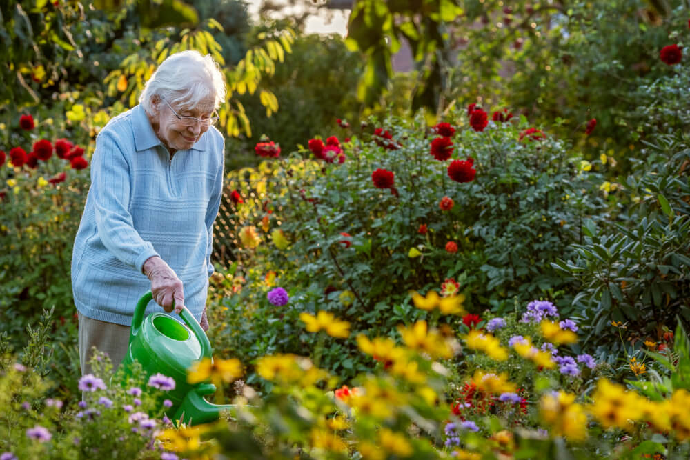 Keeping Your Loved One Safe When it’s Hot